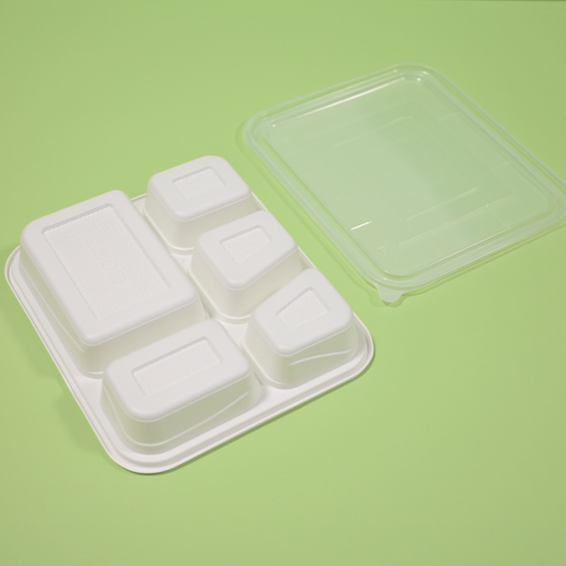 CPLA food lunch box (9)