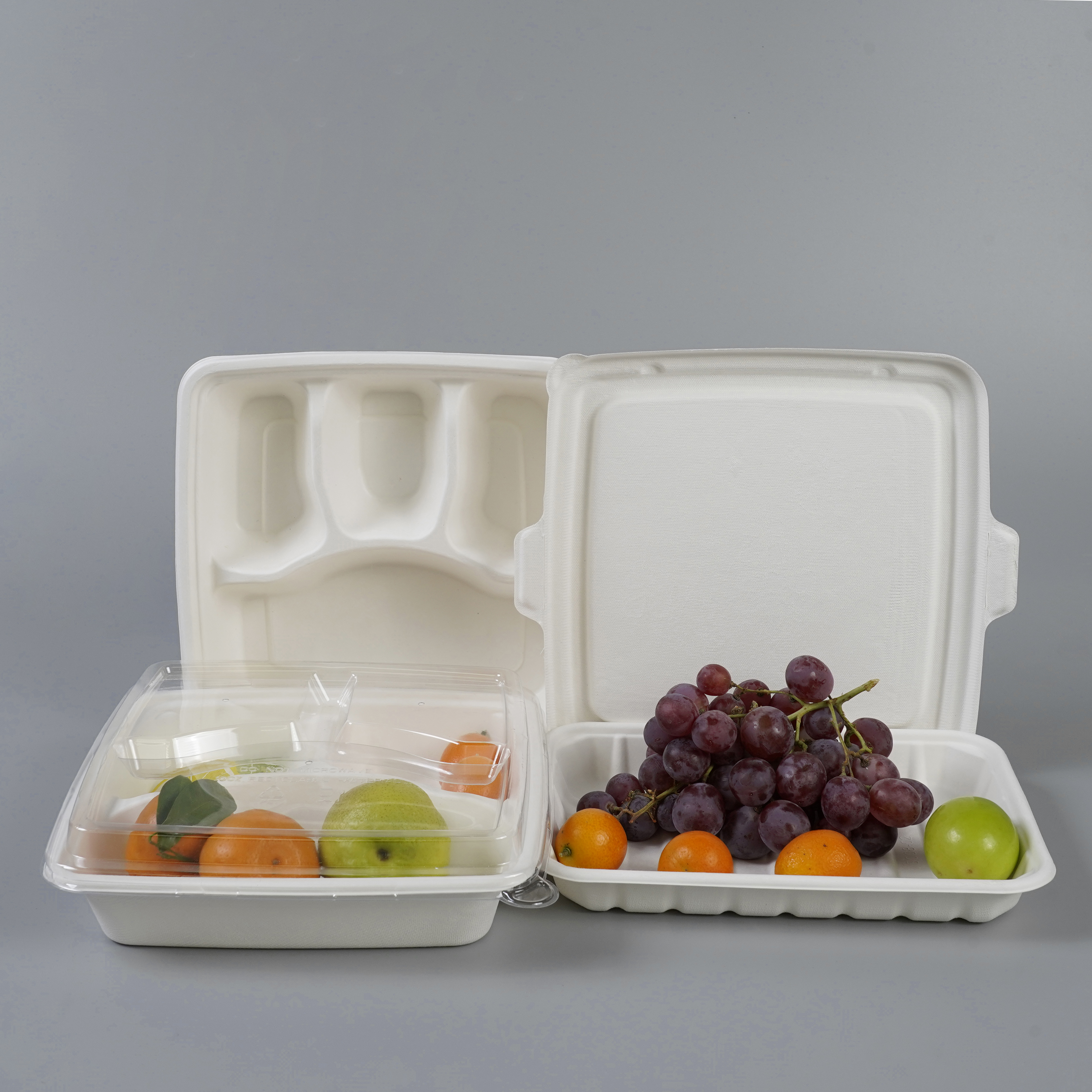 Sugarcane Bagasse Trays for Restaurant Disposable Tableware
