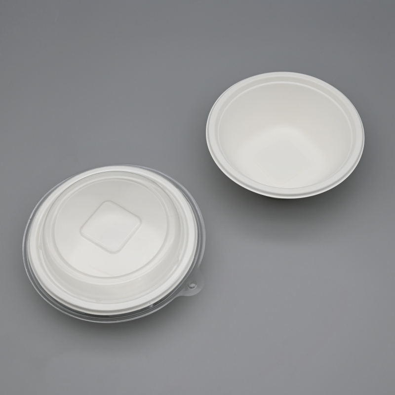 Compostable Sugarcane Bowls for Restaurant Disposable Tableware