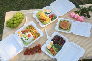 An eco picnic of MVI Team