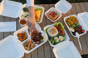 Vaixela de bagazo de MVI