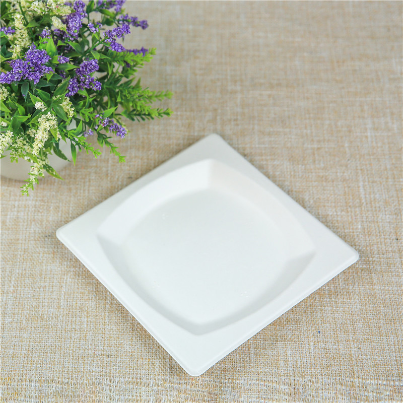 8.5 inch/10inch Sugarcane Bagasse Square Plate | Biodegradable Tray