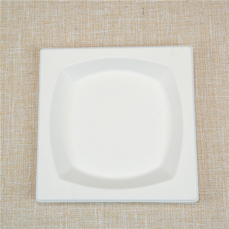 compostable Sugarcane Square Plate