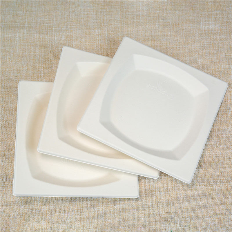 compostable Sugarcane Square Plate