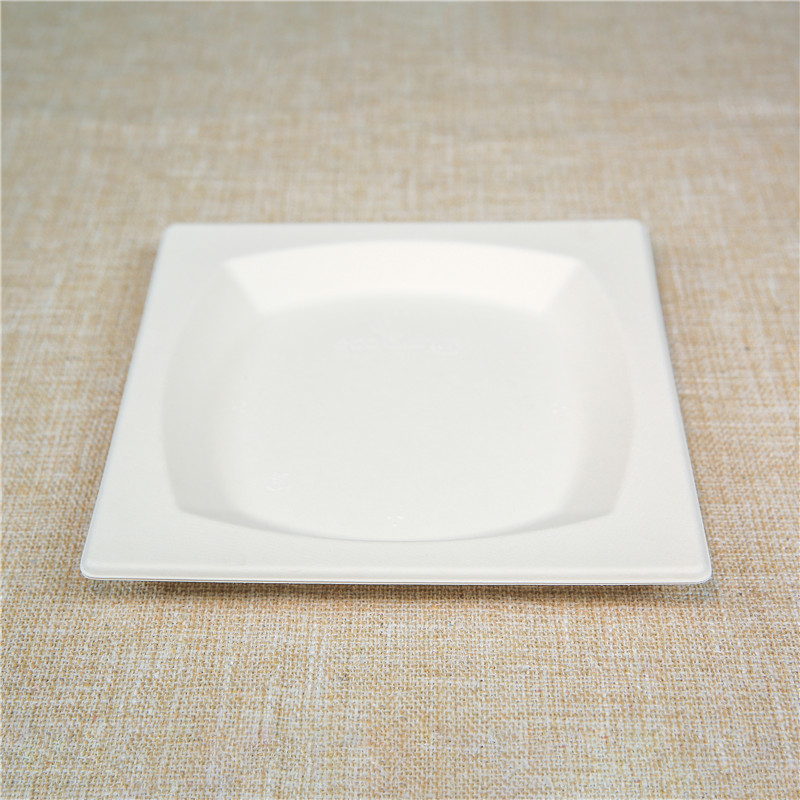 compostable Sugarcane Square Plate