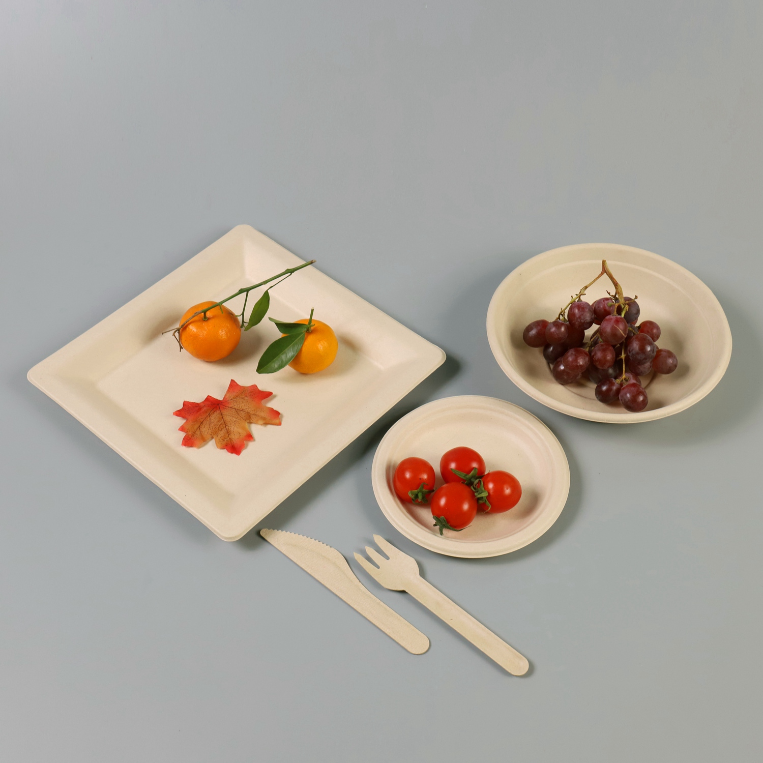 10”Biodegradable Bagasse Square Plates - Eco-Friendly Packaging