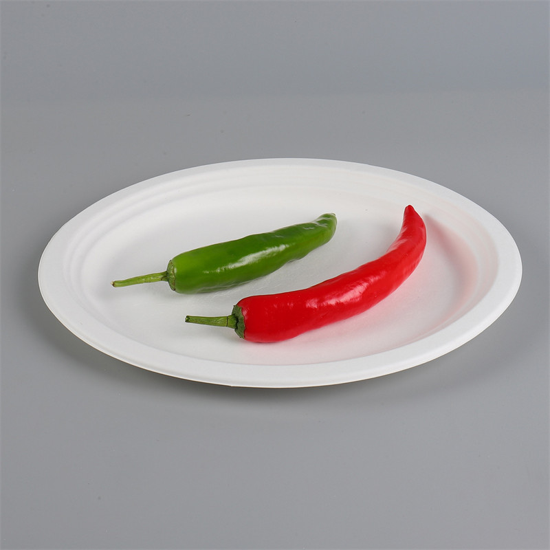 8.6inch Sugarcane Plates for Cafe Desserts