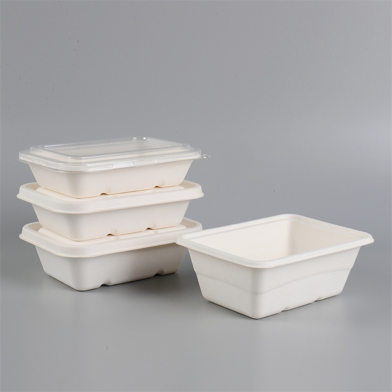 Biodegradable Bagasse Rectangle Trays