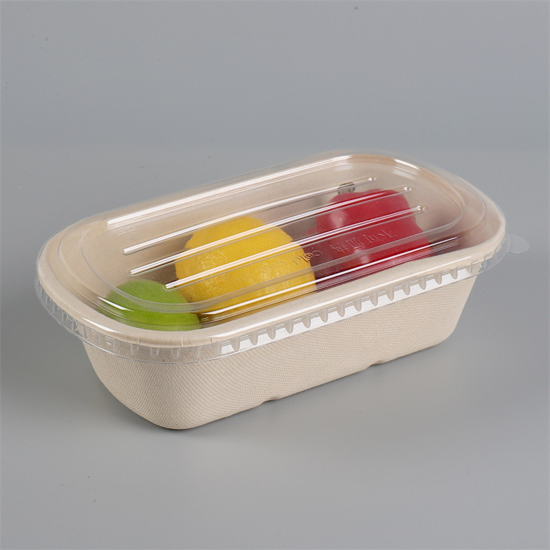 750ml Bagasse Pastry Tray for Coffee Shop Treats