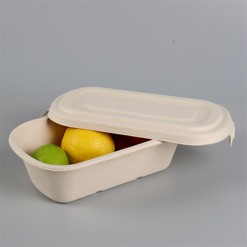 1000ml Rectangular Bagasse Container