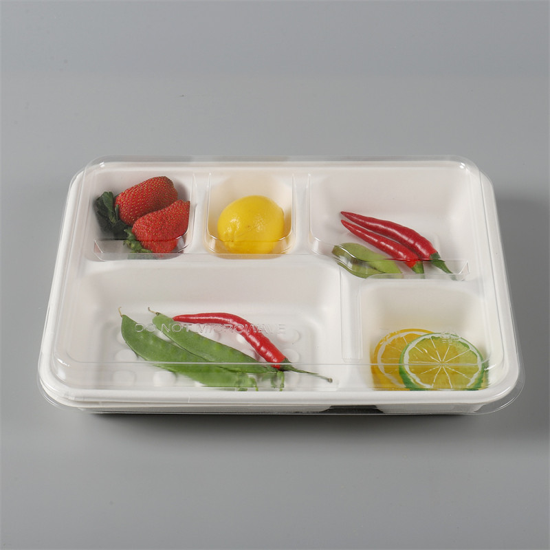 100% Compostable 5 Compartment Disposable Bagasse School Lunch Trays
