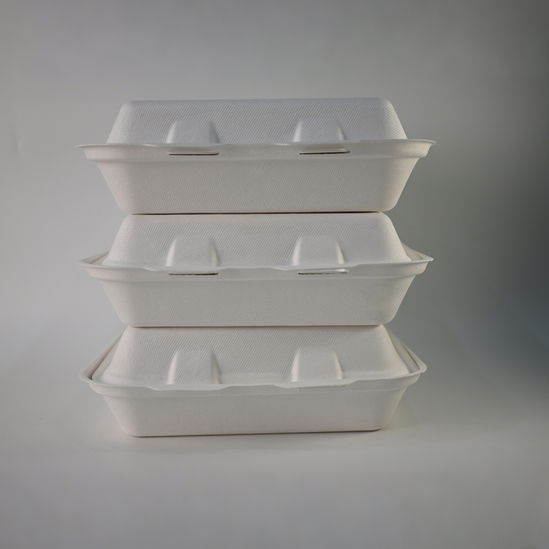 Lunch Box 4