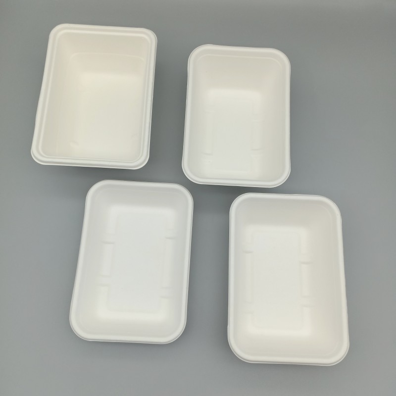bagasse rectangle Paper Trays