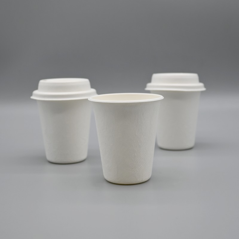 8oz Sugarcane bagasse Hot/cold Cup Compostable | MVI ECOPACK