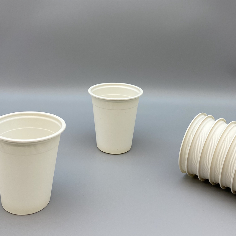 Corn Starch Biodegradable Disposable 6.5OZ hot and cold drinking cup