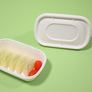 MVIECOPACK takeaway food container (1)