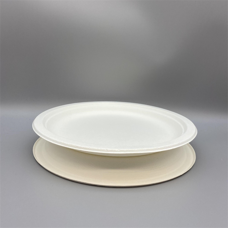 Biodegradable oval plate for hot and cold foods