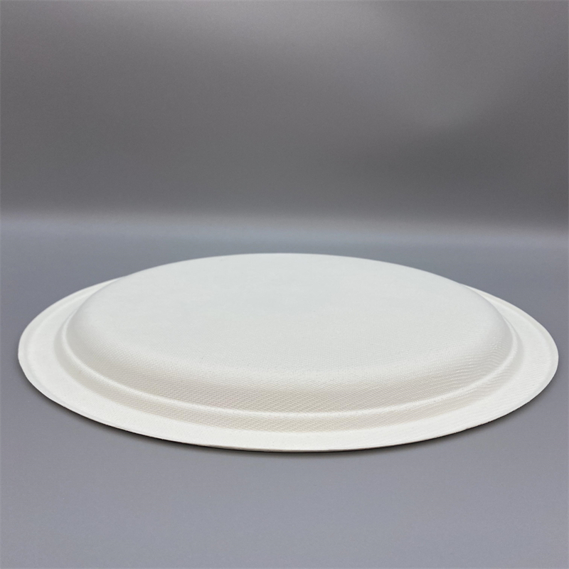 Biodegradable oval plate for hot and cold foods