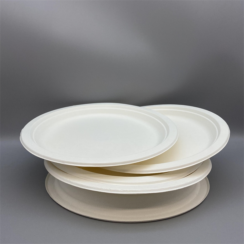 Biodegradable oval plate for hot and cold foods