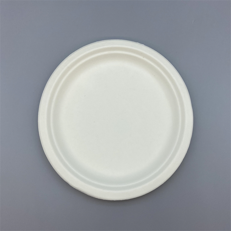 Eco-friendly sugarcane plate for takeout and events