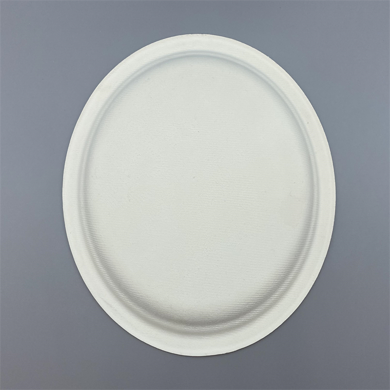 Eco-friendly sugarcane plate for takeout and events