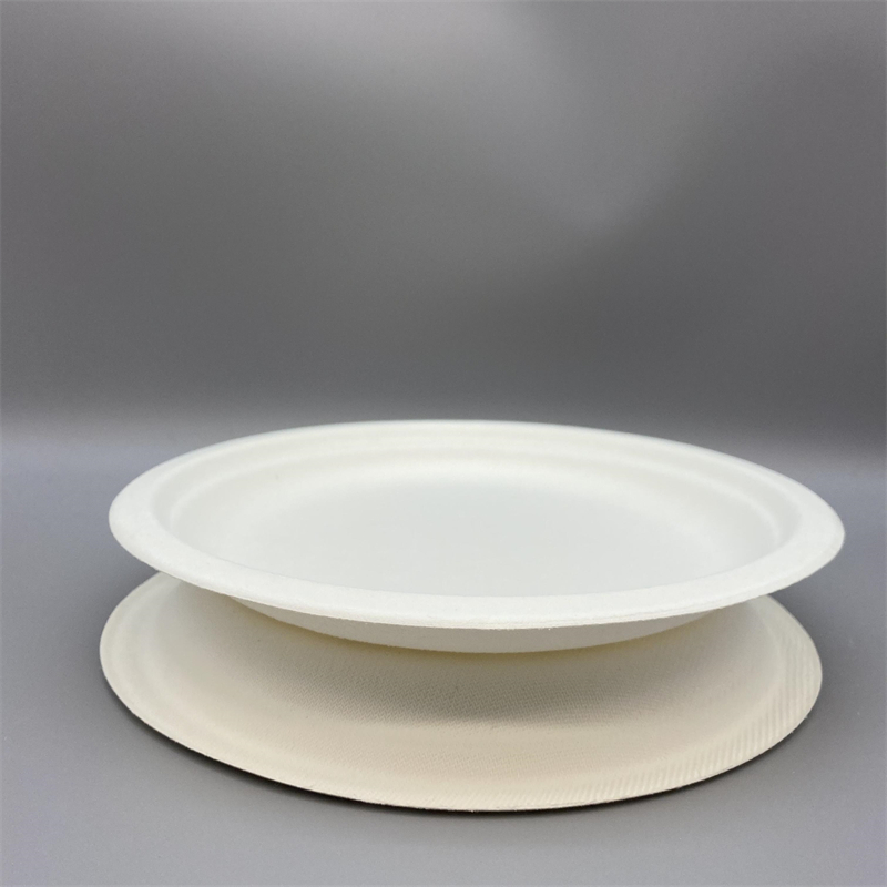Sugarcane Round Plate