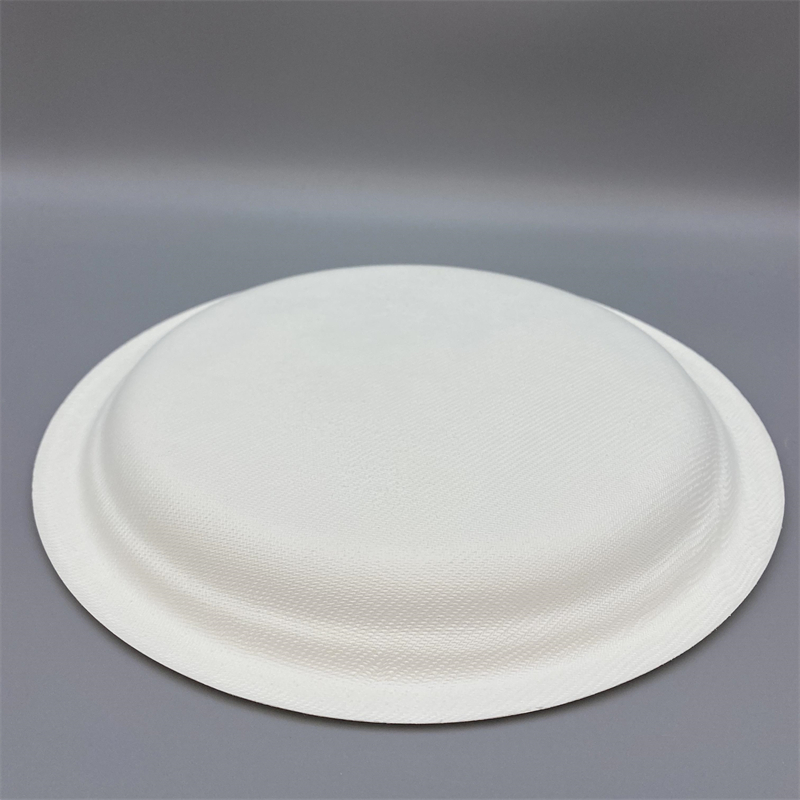 Eco-friendly sugarcane plate for takeout and events