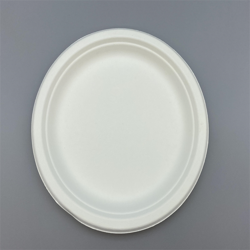 Sustainable plate for burger and fries meals