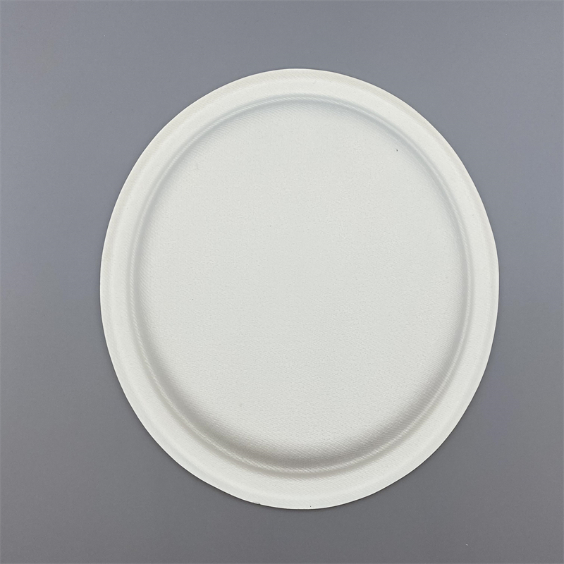 MVP-003 9inch Plate 2