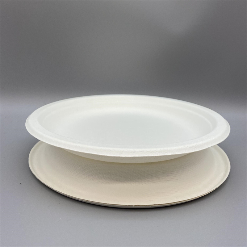 MVP-003 9inch Plate 3