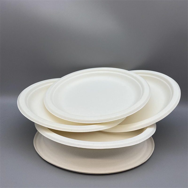 MVP-003 9inch Plate 5