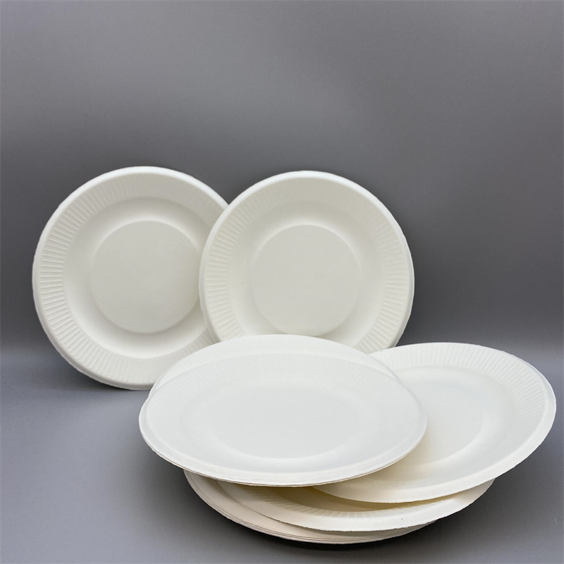 MVP-008 7inch ripple Plate 5
