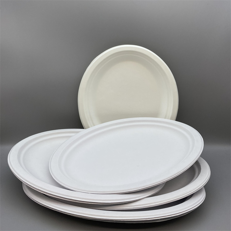 MVP-010 Large Oval Plate 5