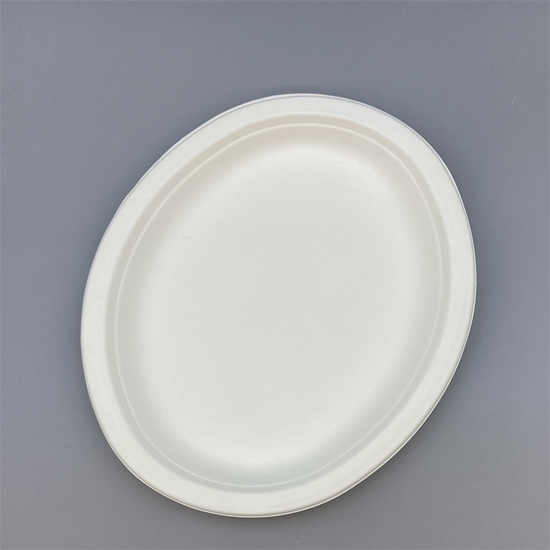 Grease-resistant bagasse platters for meat and pasta dishes