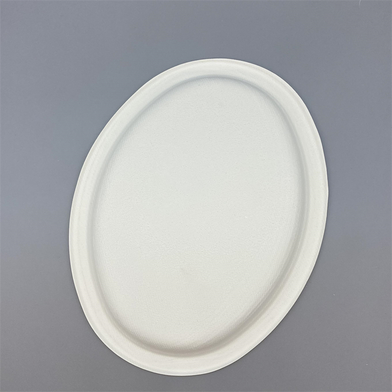 MVP-012 10inch Oval Plate 2