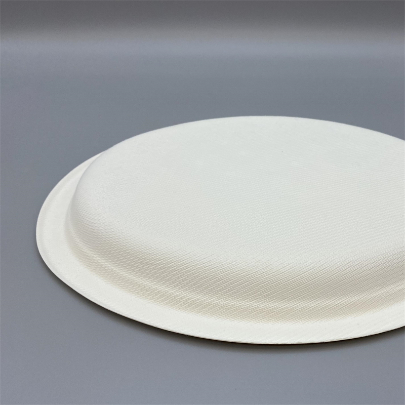 MVP-012 10inch Oval Plate 4