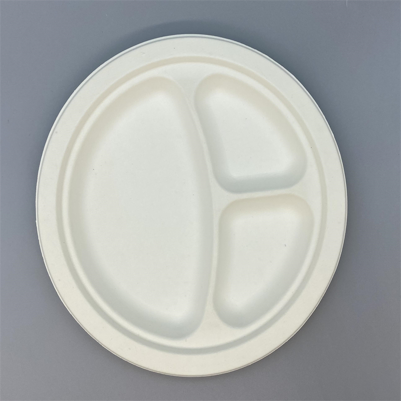 Eco-friendly sugarcane plate for multiple food servings