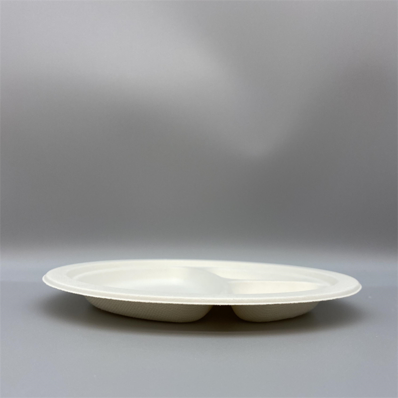 Eco-friendly sugarcane plate for multiple food servings