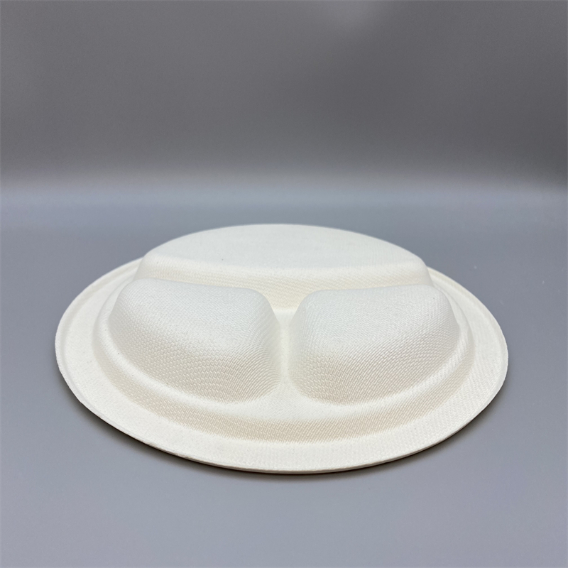 Eco-friendly sugarcane plate for multiple food servings