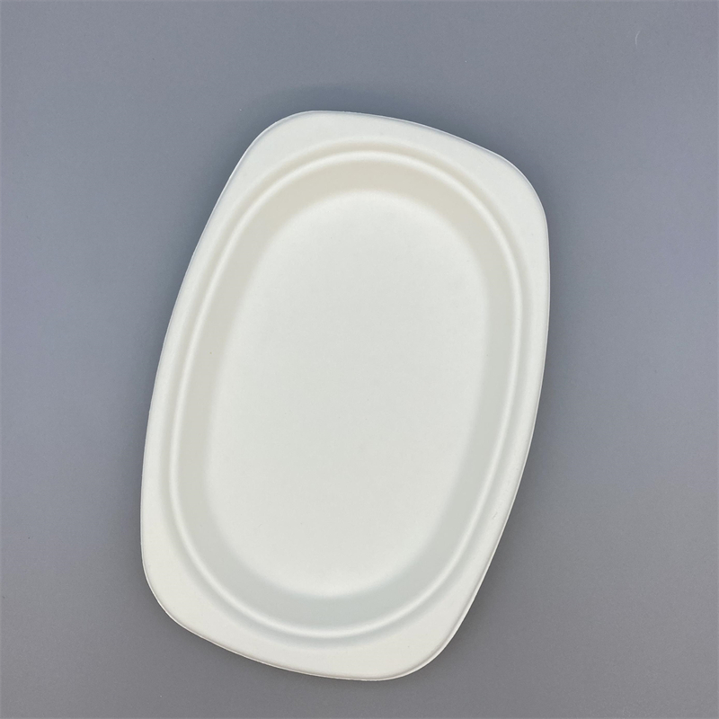 Bagasse plate for salad, pasta, hot dishes