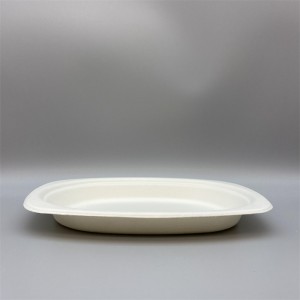 MVP-019 Oval Plate 3