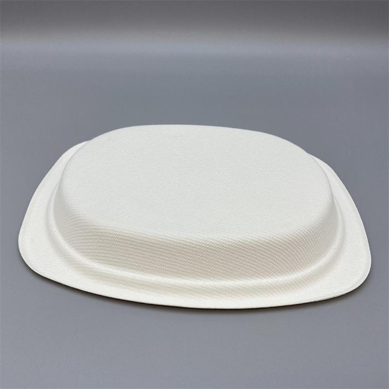 Bagasse plate for salad, pasta, hot dishes