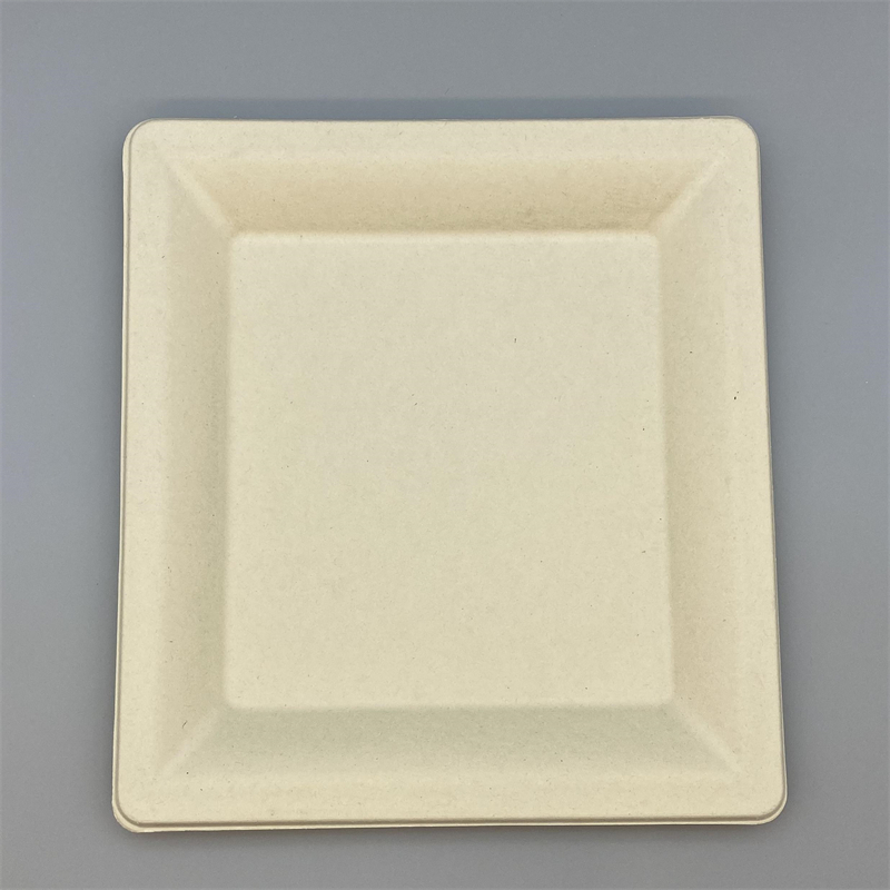 MVP-021 10inch Square Plate 1