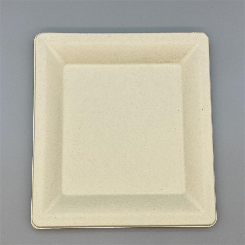 Compostable bagasse plate for steak and salad