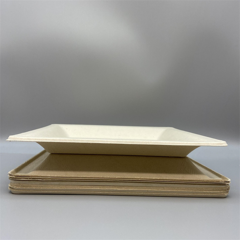 MVP-021 10inch Square Plate 3