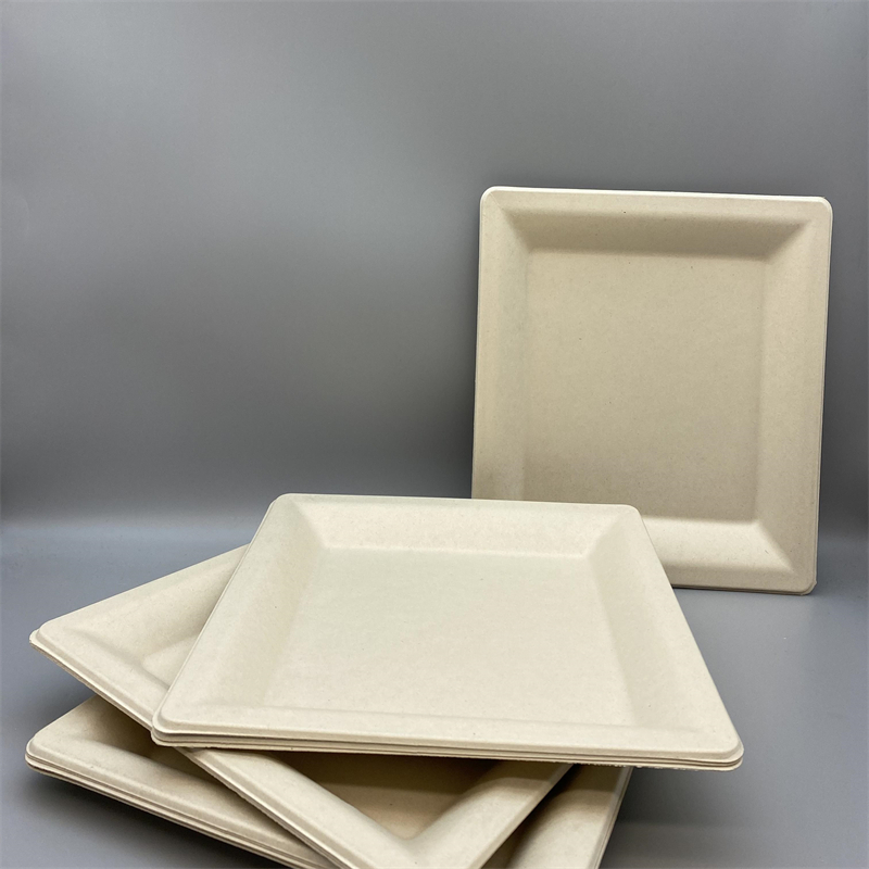 Compostable bagasse plate for steak and salad
