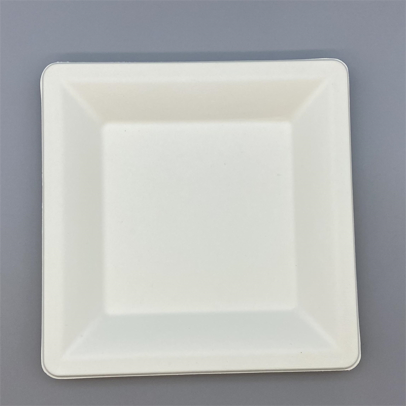 MVP-023 8inch Square Plate 1