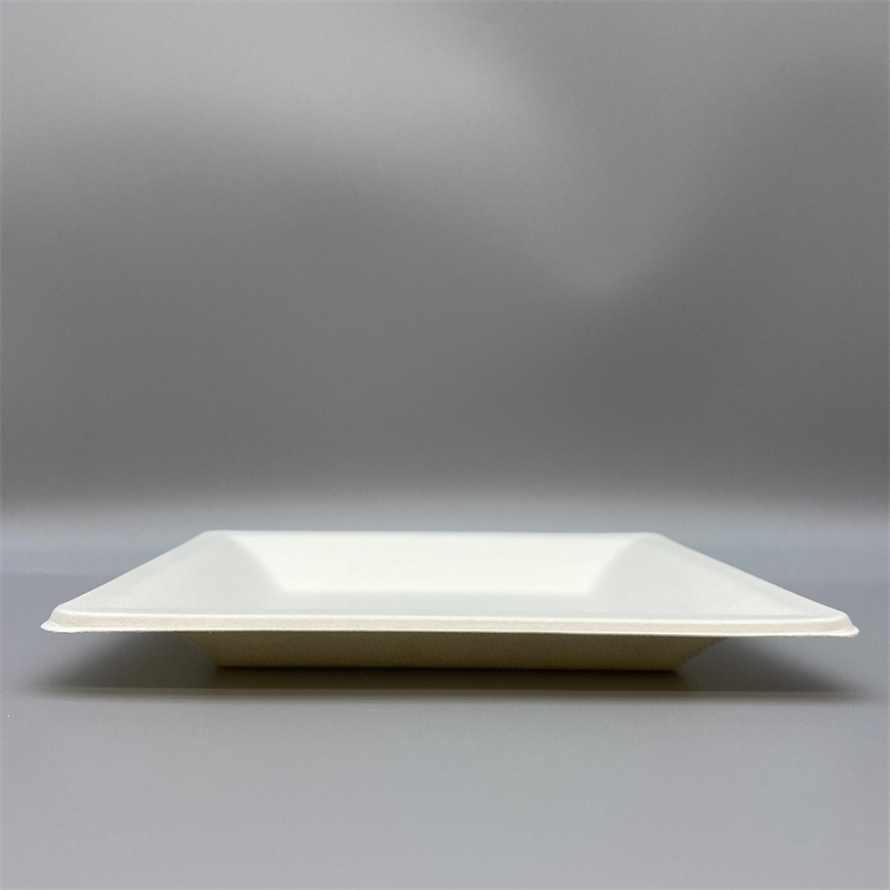Sugarcane fiber plate for lunch takeaway packaging