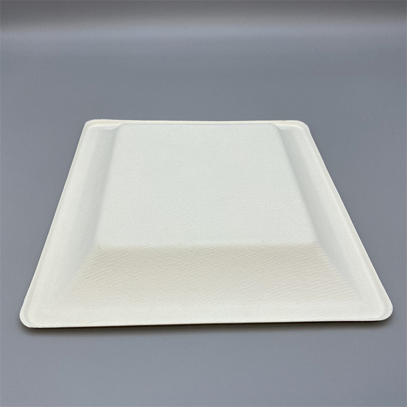 MVP-023 8inch Square Plate 4