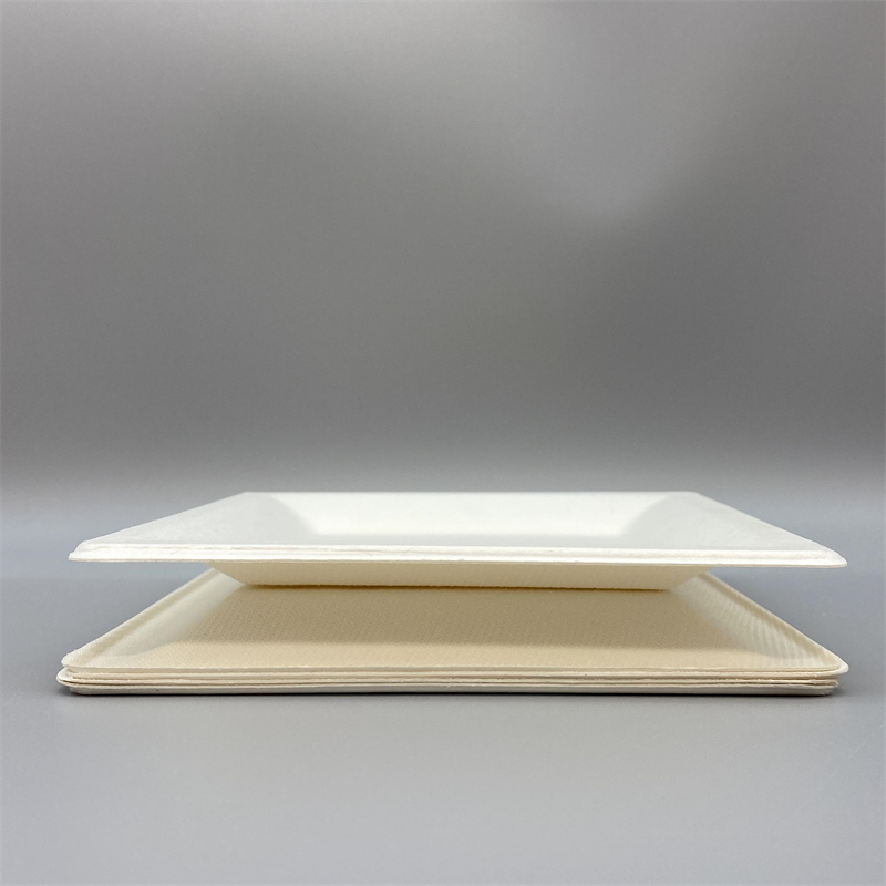 MVP-025 6inch Square Plate 3